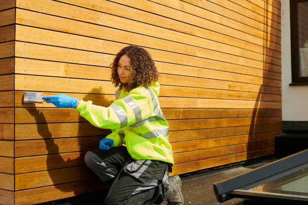 Best Steel Siding Installation  in Star Valley, AZ